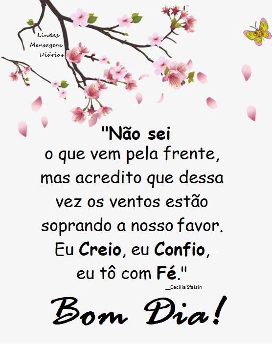 Acredito que os ventos estão soprando a nosso favor - imagem