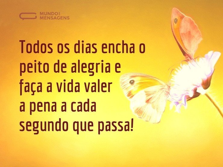 Todos os dias encha o peito de alegria e faça a vida valer a pena a cada segundo que passa! - imagem