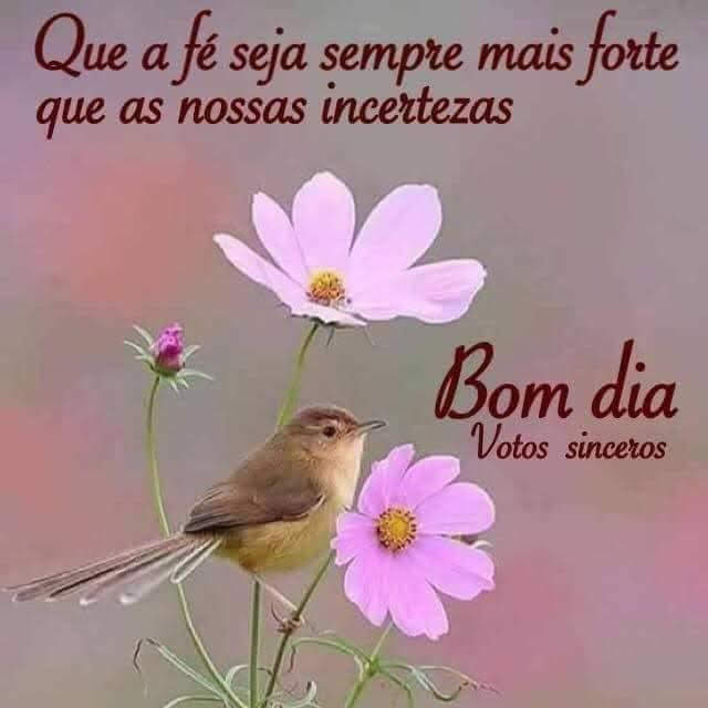 Que a fé seja sempre mais forte que as nossas incertezas - imagem