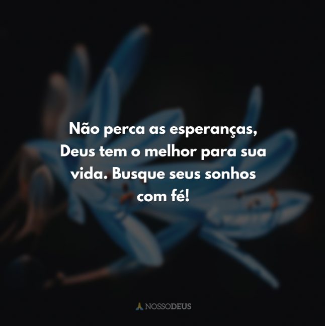 Não perca as esperanças - imagens