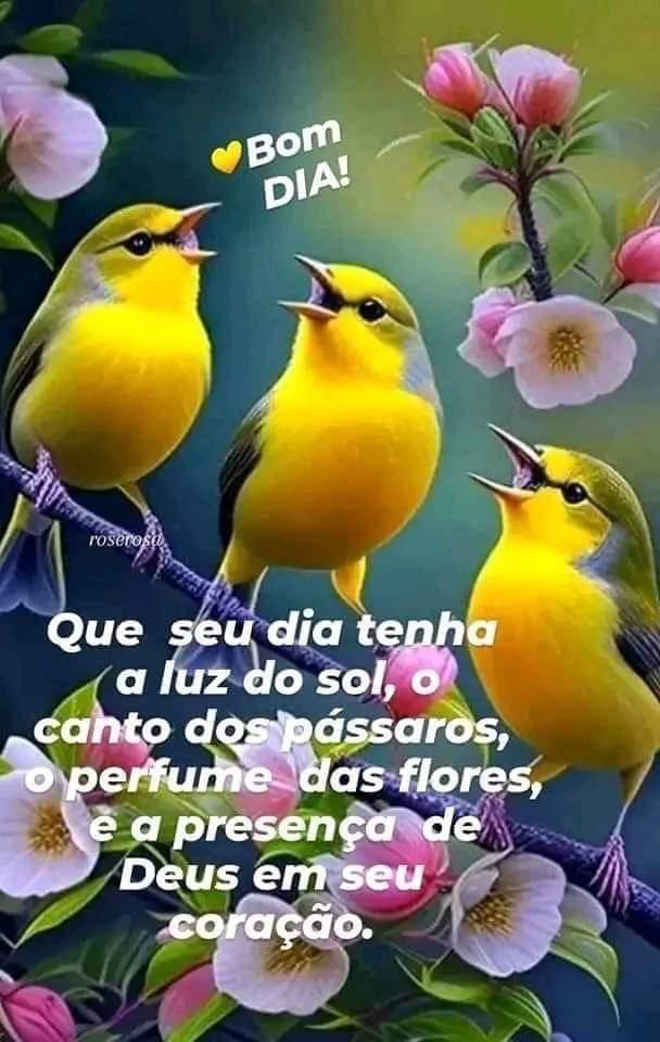 Que seu dia tenha luz - imagem